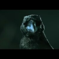 БЕЛКАЙ СТРЕЛКА  Лунные приключения