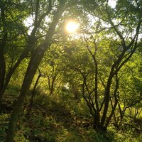 Мария Сенчакова