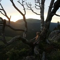 Александра Тюрина