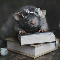 Кристина Серова