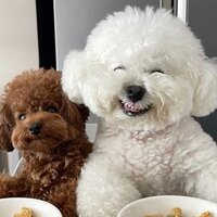 Елизавета Г.