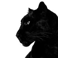 Мария Дорякина