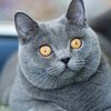 mc6uywnu0pgehwzdkrwuny7pxw