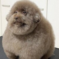 Данила Найдёнов