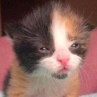 Анастасия С.