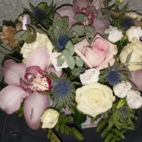 Татьяна Урмашкина