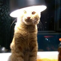 Мингажев Арсен