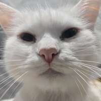 Ульяна Масленникова