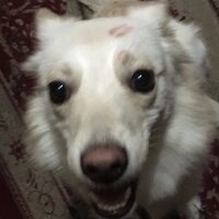 Мария Есманская