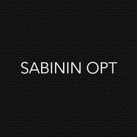 Денис Сабинин