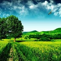 Сергей Кислаков