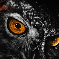 Александр Шиянов