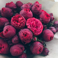 Наташа Иванченко