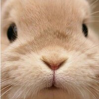 Ирина Березина