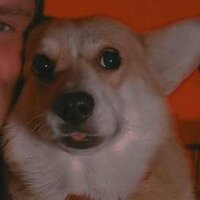 Виктория А.