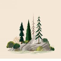 Булат Хафизов