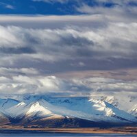 Серёга, тигров