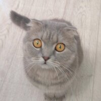 Александр Жуков