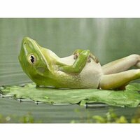 Виктор Степаненко