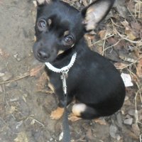 Надежда Прийма