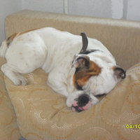 Наталья Задунайская