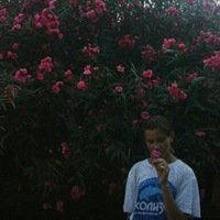 Анастасия Смотрова