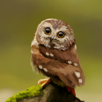 Библиотека Р.