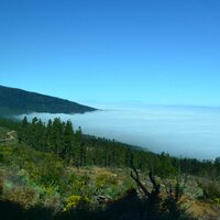 Наталия Панова