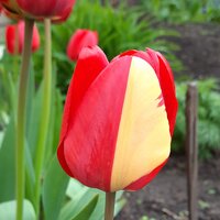 Екатерина Е.