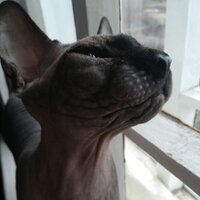 Марина Шепелёва