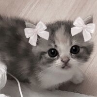 Александра Пунина