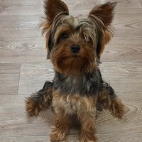 ольга жихарева