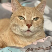 Юлия Олеговна