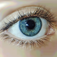 Шипилова Ирина Дмитриевна