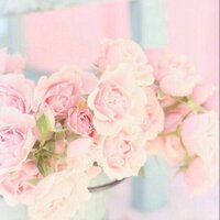 Алина Евсеева