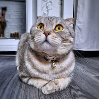 Елизавета Сторожук