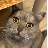 Жанна Алексеева