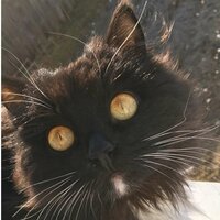 Наталья Резанова