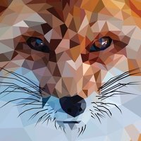 Полина Сидоркина