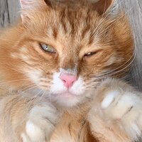 Влада Исупова