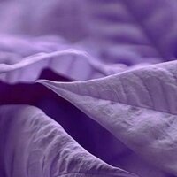 Анастасия Фауст