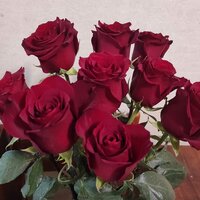 Наталья Кузнецова