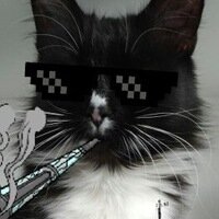 Максим Альтенгоф