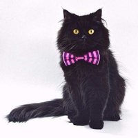 Оксик