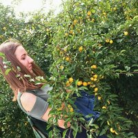 Алина Бубновская