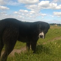 Сергей Кушков