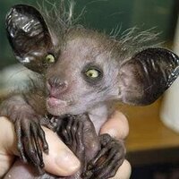 Леонид Ашейчик