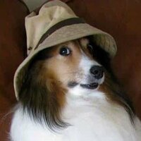 Лера Петрова