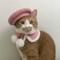 Анастасия П.