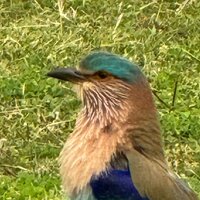 Евгений костышев